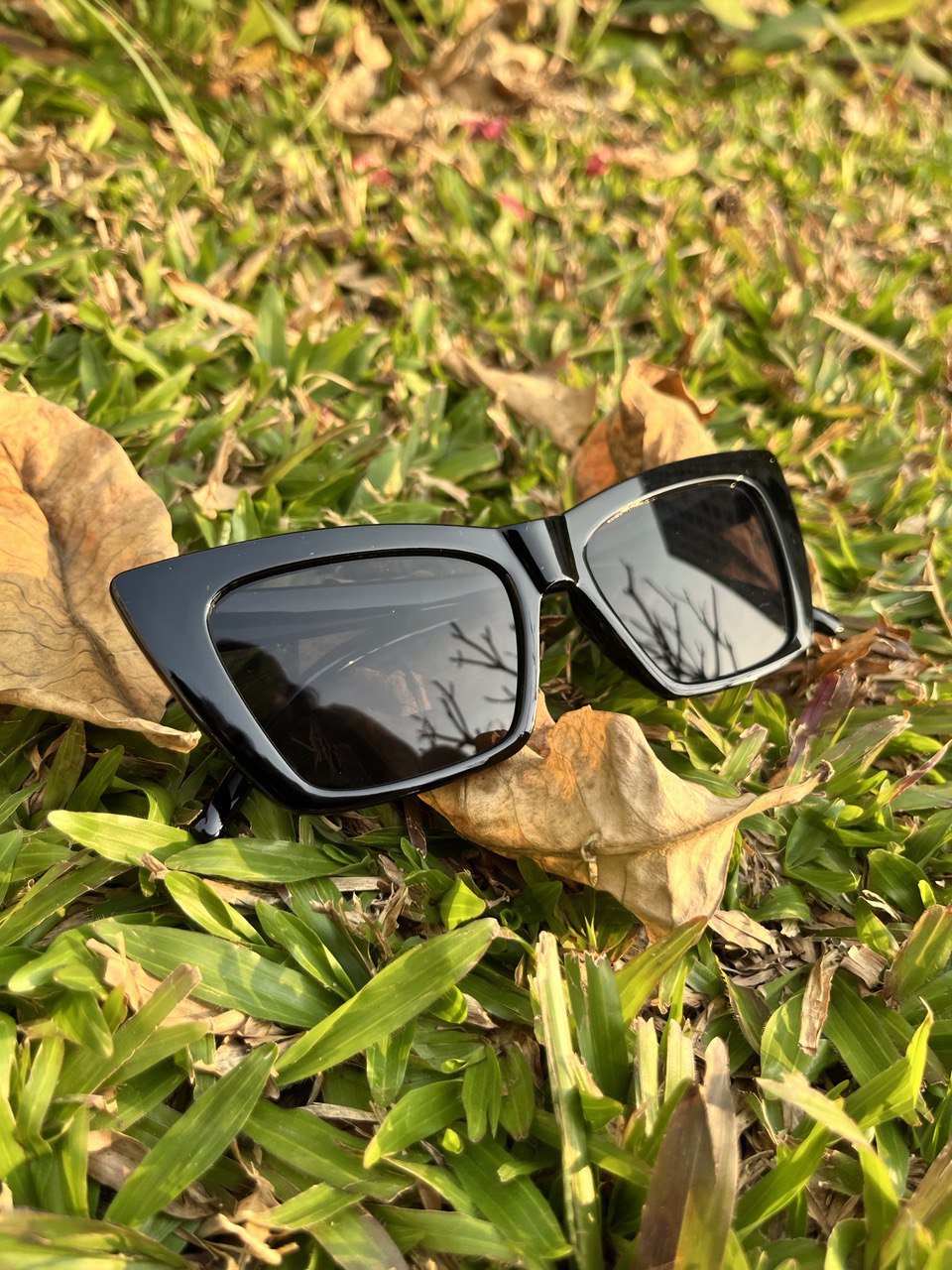 Avatar Sunglasses